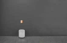 Lade das Bild in den Galerie-Viewer, Dusch-WC Komplettanlage für Unterputzspülkästen, Wandmontage *inkl. Montage*