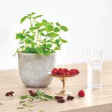 Lade das Bild in den Galerie-Viewer, GROHE Blue Wassergläser – ein Set aus 6 stylischen Designergläsern.